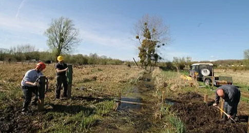Gwent Wildlife Trust