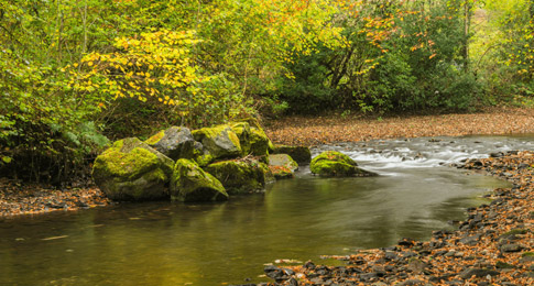 The Valleys Regional Park